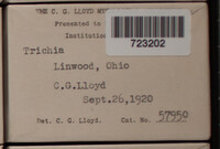 Image Associated With the Occurence
